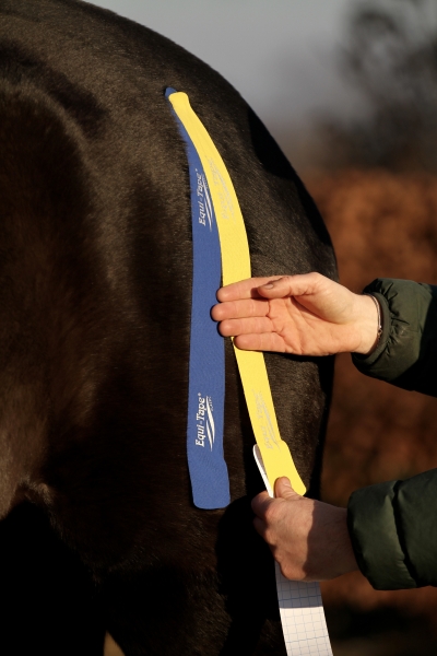 Equi-Tape® Advantage, royal blue, 5m x 5cm